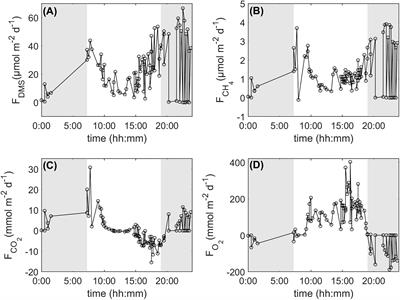 The Interplay Between Dimethyl Sulfide (DMS) and Methane (CH4) in a Coral Reef Ecosystem